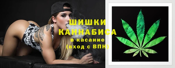сатива Верхний Тагил