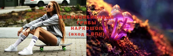 сатива Верхний Тагил