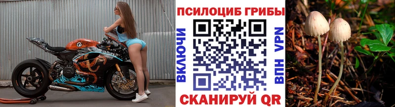 купить наркоту  МЕГА зеркало  Псилоцибиновые грибы мицелий  Новокубанск 